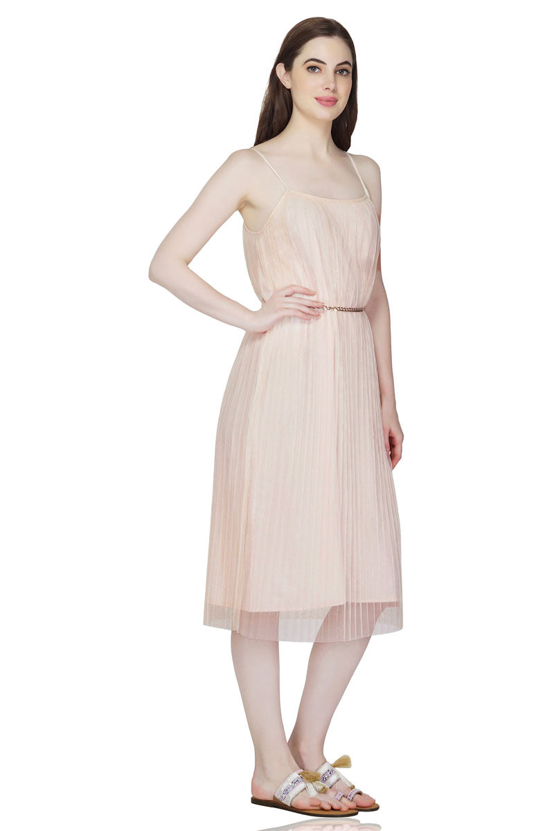 Rose Cloud Pleated Net Dress - Mixcart USA