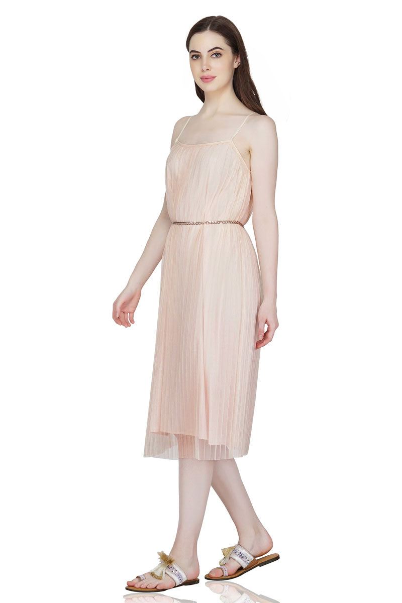 Rose Cloud Pleated Net Dress - Mixcart USA
